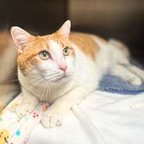 Thumbnail photo of Delilah #2