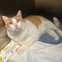 Thumbnail photo of Delilah #3