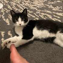 Thumbnail photo of Jorgeson #3