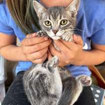 Thumbnail photo of Clyde #2