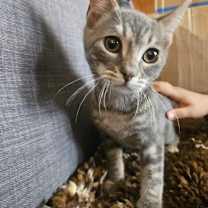 Thumbnail photo of Clyde #4