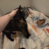 Thumbnail photo of SK #1