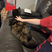 Thumbnail photo of SK #3