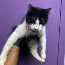 Thumbnail photo of Baby #2