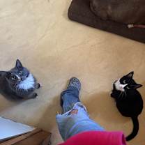 Thumbnail photo of Mr. Squeakers #3