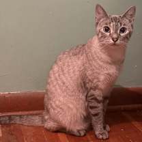 Thumbnail photo of Lea #1