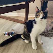 Thumbnail photo of Alma #4