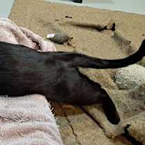 Thumbnail photo of Winnie #3