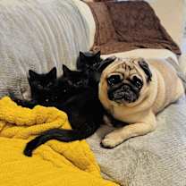 Thumbnail photo of Blossom #3