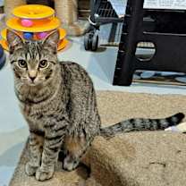 Thumbnail photo of Lucky #3