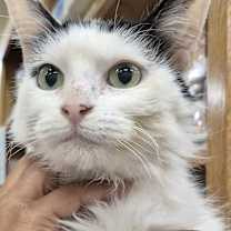 Thumbnail photo of Doris #3