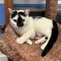 Thumbnail photo of Pearl #2