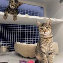 Thumbnail photo of Lucy #2