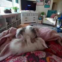 Thumbnail photo of Poet Miller #3