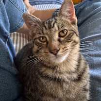 Thumbnail photo of Dahlia Allen-CA #1