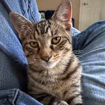 Thumbnail photo of Dahlia Allen-CA #2