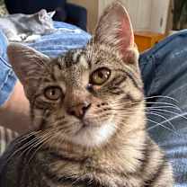 Thumbnail photo of Dahlia Allen-CA #3