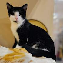 Thumbnail photo of Elowen #1