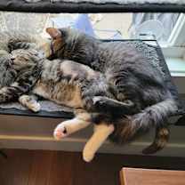 Thumbnail photo of Tilly #3