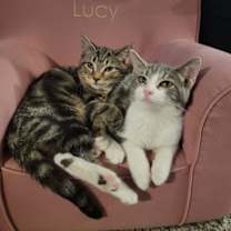 Thumbnail photo of Gabby #3