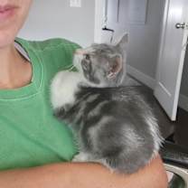 Thumbnail photo of Gabby #4