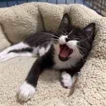 Thumbnail photo of Harper Bowers #2