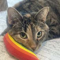 Thumbnail photo of Charlie #2