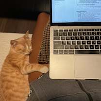 Thumbnail photo of Cleo #1