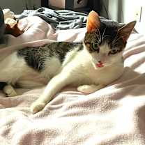 Thumbnail photo of Luna Girl #4