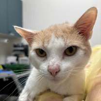 Thumbnail photo of Heath #2