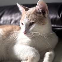 Thumbnail photo of Heath #3