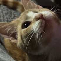 Thumbnail photo of Winnie #2