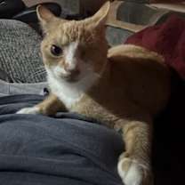 Thumbnail photo of Winnie #3