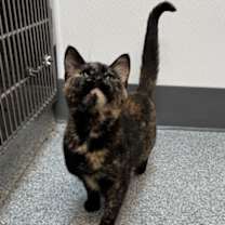 Thumbnail photo of Agatha #3