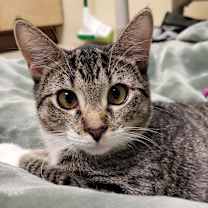 Thumbnail photo of Butter #1