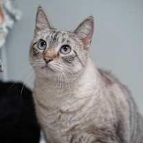 Thumbnail photo of Lily #1