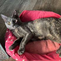 Thumbnail photo of Ireland #2