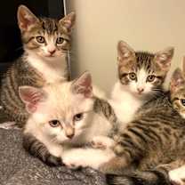 Thumbnail photo of Sprout #4