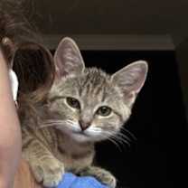 Thumbnail photo of Julia Roberts #4