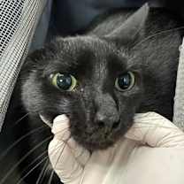 Thumbnail photo of Secret #1