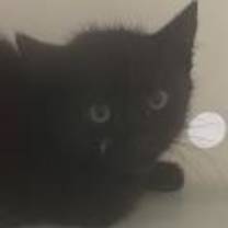 Thumbnail photo of Secret #2