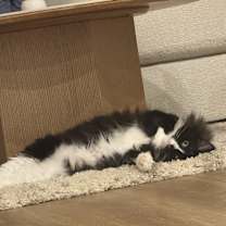 Thumbnail photo of Alisa #2