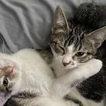 Thumbnail photo of Kimora and Kalla #2