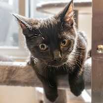 Thumbnail photo of Danny #2