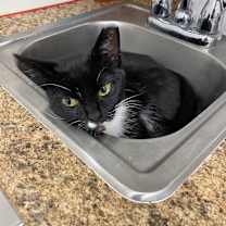 Thumbnail photo of Beetlejuice Beetlejuice #2