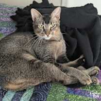 Thumbnail photo of Manny #1