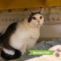 Thumbnail photo of May #1