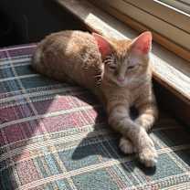 Thumbnail photo of Tiny McMighty #1