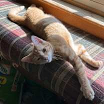 Thumbnail photo of Tiny McMighty #2