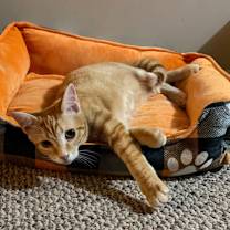 Thumbnail photo of Tiny McMighty #3